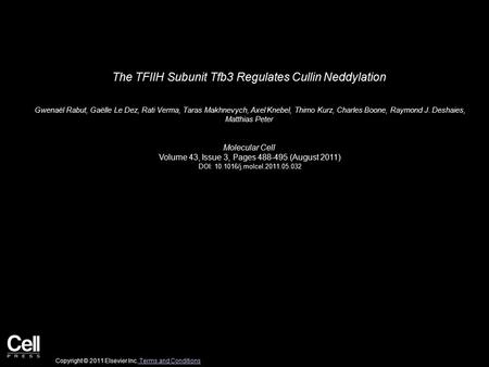 The TFIIH Subunit Tfb3 Regulates Cullin Neddylation Gwenaël Rabut, Gaëlle Le Dez, Rati Verma, Taras Makhnevych, Axel Knebel, Thimo Kurz, Charles Boone,