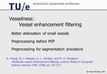 Ter Haar Romeny, FEV Vesselness: Vessel enhancement filtering Better delineation of small vessels Preprocessing before MIP Preprocessing for segmentation.