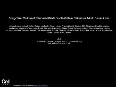 Long-Term Culture of Genome-Stable Bipotent Stem Cells from Adult Human Liver Meritxell Huch, Helmuth Gehart, Ruben van Boxtel, Karien Hamer, Francis Blokzijl,