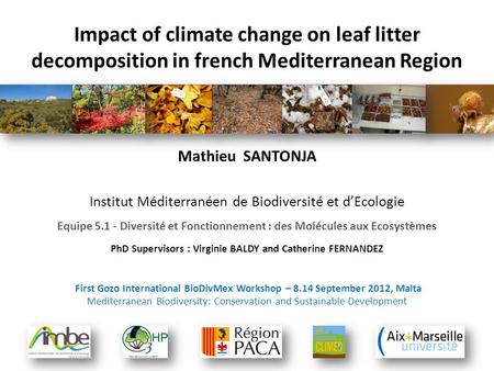 Impact of climate change on leaf litter decomposition in french Mediterranean Region Mathieu SANTONJA Institut Méditerranéen de Biodiversité et d’Ecologie.
