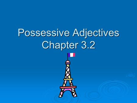 Possessive Adjectives Chapter 3.2