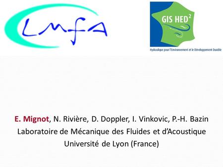 E. Mignot, N. Rivière, D. Doppler, I. Vinkovic, P.-H. Bazin Laboratoire de Mécanique des Fluides et d’Acoustique Université de Lyon (France)