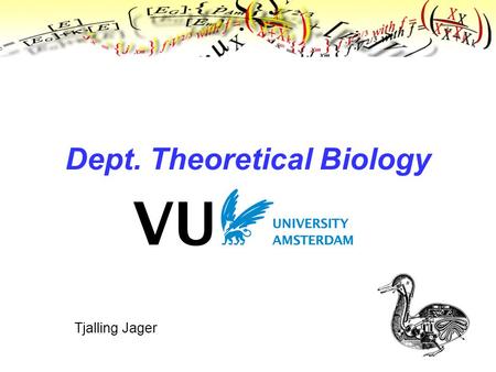 Tjalling Jager Dept. Theoretical Biology. Where we are.