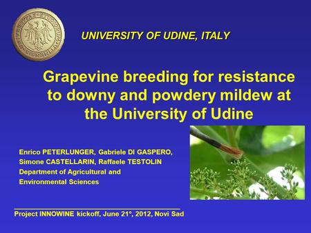 Grapevine breeding for resistance to downy and powdery mildew at the University of Udine UNIVERSITY OF UDINE, ITALY ___________________________________________.