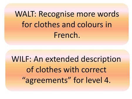 WALT: Recognise more words for clothes and colours in French. WILF: An extended description of clothes with correct “agreements” for level 4.