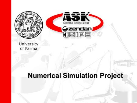 Numerical Simulation Project University of Parma.