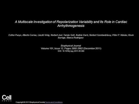 A Multiscale Investigation of Repolarization Variability and Its Role in Cardiac Arrhythmogenesis Esther Pueyo, Alberto Corrias, László Virág, Norbert.