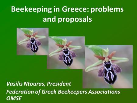 Beekeeping in Greece: problems and proposals Vasilis Ntouras, President Federation of Greek Beekeepers Associations OMSE.