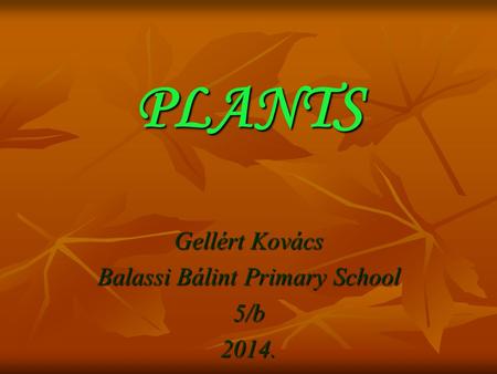 PLANTS Gellért Kovács Balassi Bálint Primary School 5/b2014.