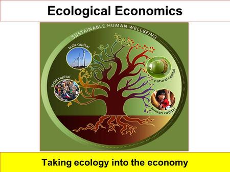 Ecological Economics Taking ecology into the economy.