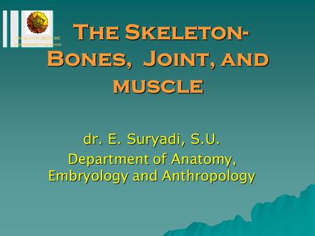 The Skeleton-Bones, Joint, and muscle