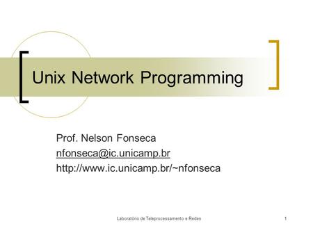 Laboratório de Teleprocessamento e Redes1 Unix Network Programming Prof. Nelson Fonseca