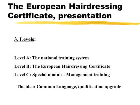 The European Hairdressing Certificate, presentation 3. Levels: Level A: The national training system Level B: The European Hairdressing Certificate Level.