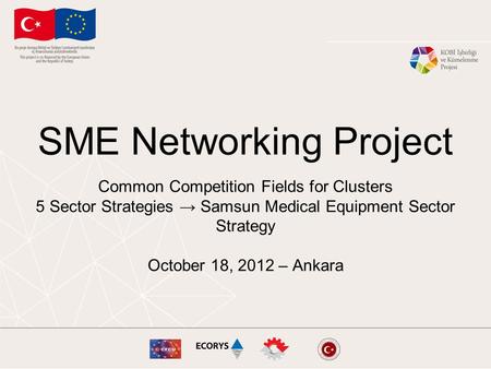 SME Networking Project Common Competition Fields for Clusters 5 Sector Strategies → Samsun Medical Equipment Sector Strategy October 18, 2012 – Ankara.