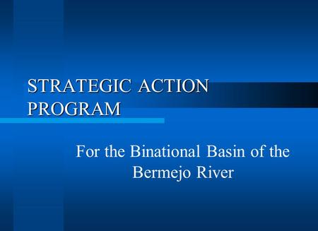 STRATEGIC ACTION PROGRAM For the Binational Basin of the Bermejo River.