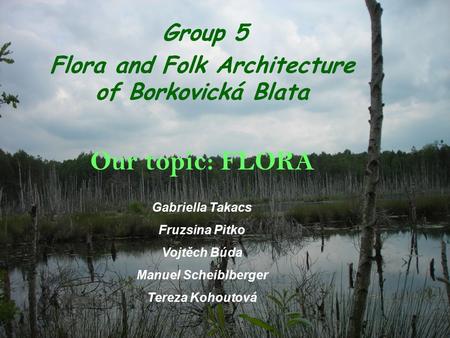 Group 5 Flora and Folk Architecture of Borkovická Blata Our topic: FLORA Gabriella Takacs Fruzsina Pitko Vojtěch Búda Manuel Scheiblberger Tereza Kohoutová.