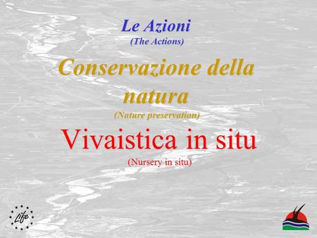Conservazione della natura (Nature preservation) Vivaistica in situ (Nursery in situ) Le Azioni (The Actions)