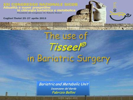 The use of Tisseel® in Bariatric Surgery SICOB Cagliari, 2013 The use of Tisseel ® in Bariatric Surgery Bariatric and Metabolic Unit Desenzano del Garda.