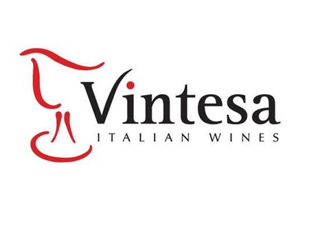 Vintesa Italian Wines is the result of the friendship of a few winemakers who united their experience and knowledge to build something very innovative: