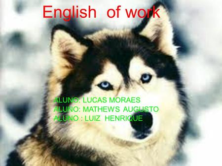 English of work ALUNO: LUCAS MORAES ALUNO: MATHEWS AUGUSTO ALUNO : LUIZ HENRIQUE ALUNO: LUCAS MORAES ALUNO: MATHEWS AUGUSTO ALUNO : LUIZ HENRIQUE English.
