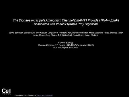 The Dionaea muscipula Ammonium Channel DmAMT1 Provides NH4+ Uptake Associated with Venus Flytrap’s Prey Digestion Sönke Scherzer, Elzbieta Krol, Ines Kreuzer,