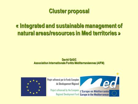 Cluster proposal « Integrated and sustainable management of natural areas/resources in Med territories » David GASC Association Internationale Forêts Méditerranéennes.