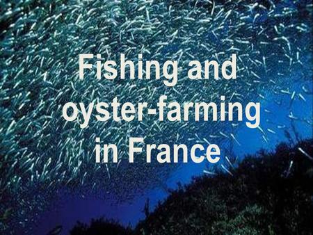Fishing and oyster-farming in France. The France is the second world maritime domain after the United States. & On the ourth of the European Union with.
