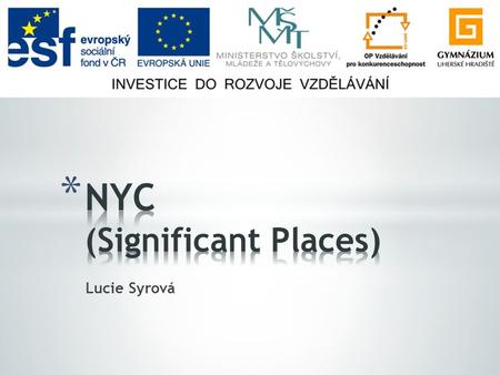 Lucie Syrová. * Statue of Liberty * Times Square * Ground Zero * Wall Street, UN Headquarters * Empire State Building, Chrysler Building * Chinatown,
