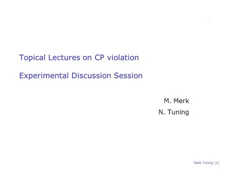 Niels Tuning (1) Topical Lectures on CP violation Experimental Discussion Session M. Merk N. Tuning.