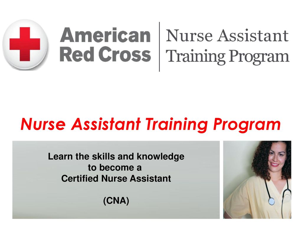 Nurse Assistant Training Program - ppt download