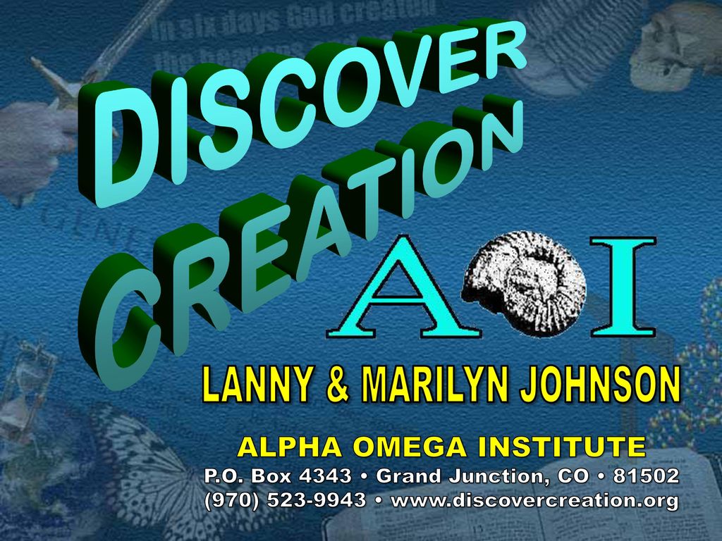 DISCOVER CREATION LANNY MARILYN JOHNSON ALPHA OMEGA INSTITUTE