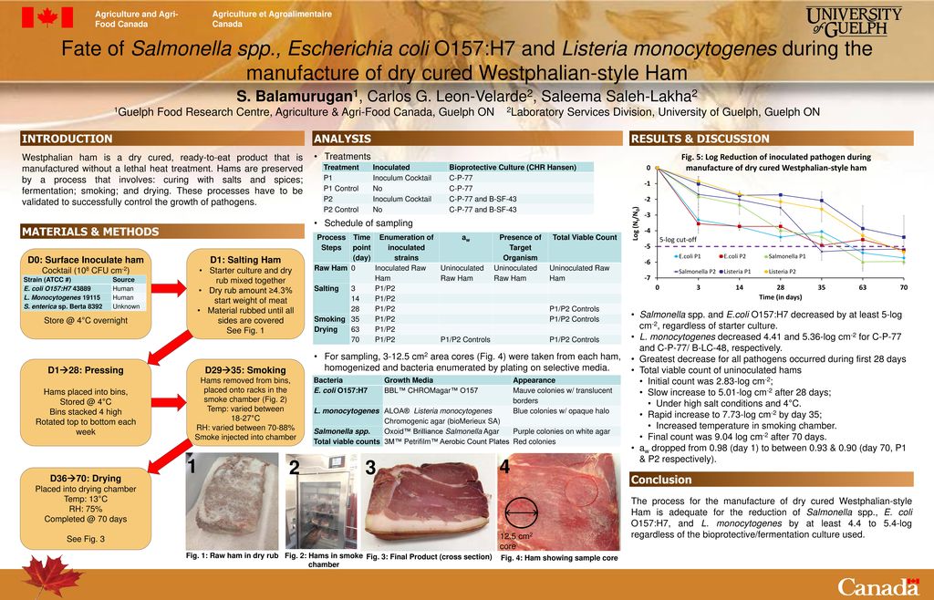 Fate Of Salmonella Spp Escherichia Coli O157 H7 And Listeria Monocytogenes During The Manufacture Of Dry Cured Westphalian Style Ham S Balamurugan1 Ppt Download