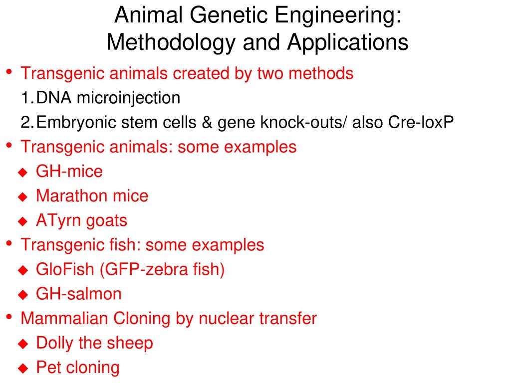 Animal Genetic Engineering Methodology And Applications Ppt Video Online Download