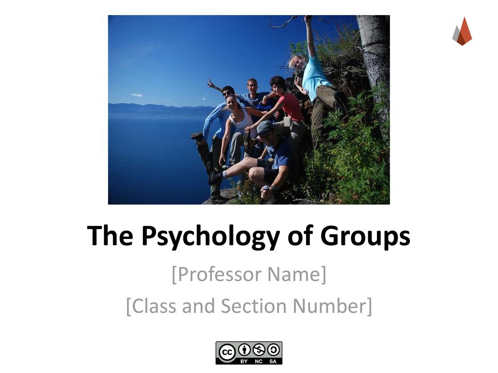 The Psychology of Groups
