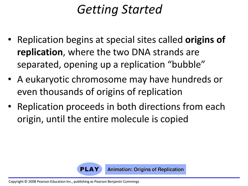 Animation: Origins of Replication - ppt download