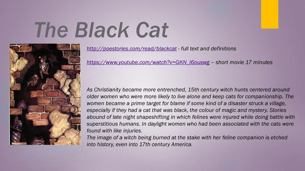 the black cat text