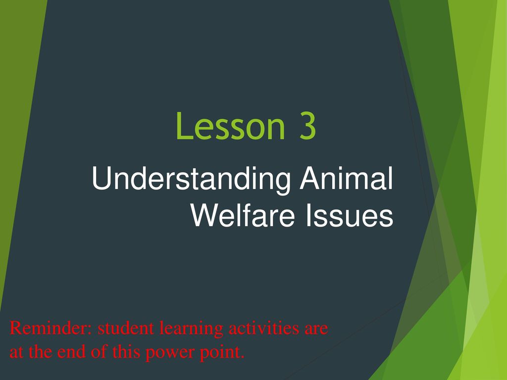 Understanding Animal Welfare Issues - ppt download