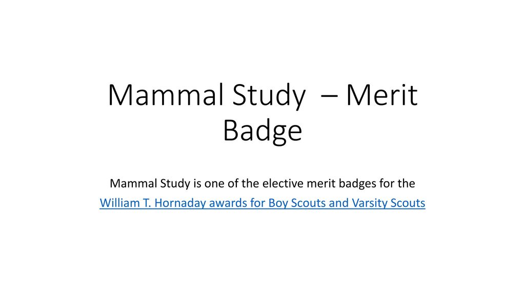 Mammal Study Merit Badge Ppt Video Online Download
