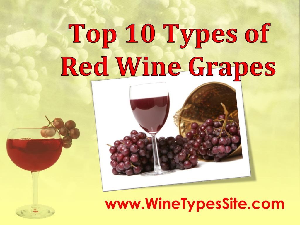 Top 10 Types of Red Wine Grapes - ppt download