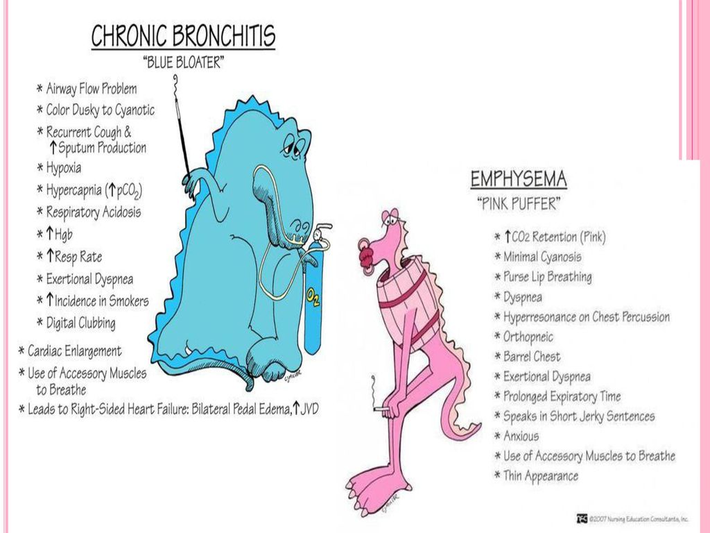 Chronic Bronchitis And Emphysema - ppt download