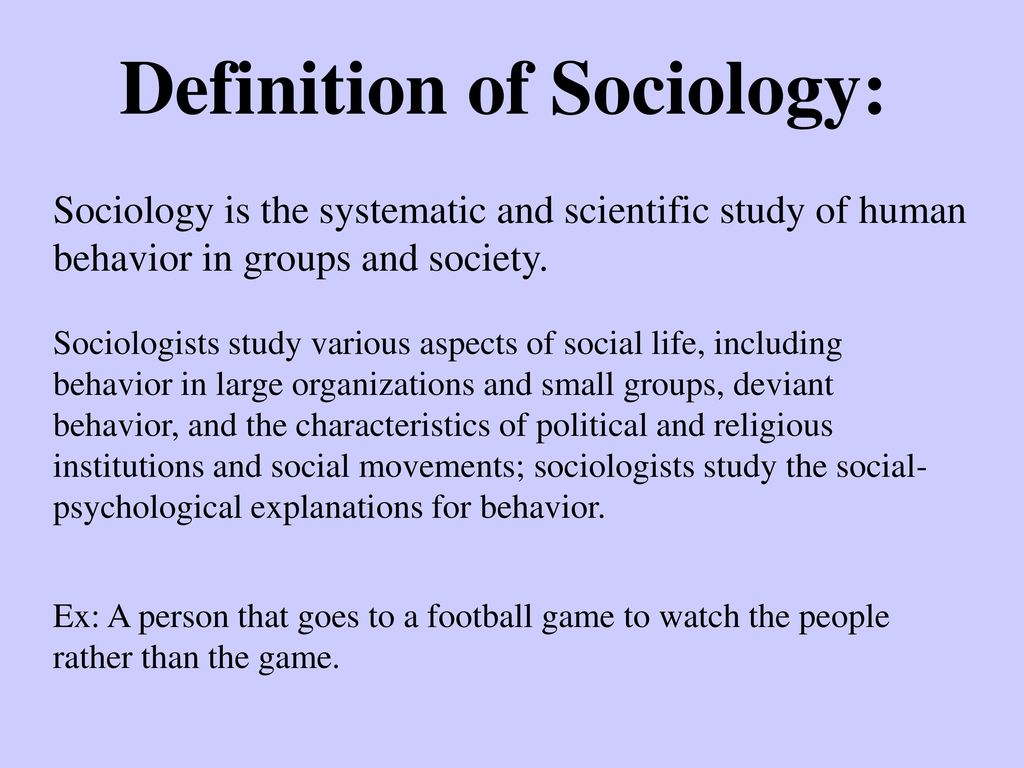 sociology definition