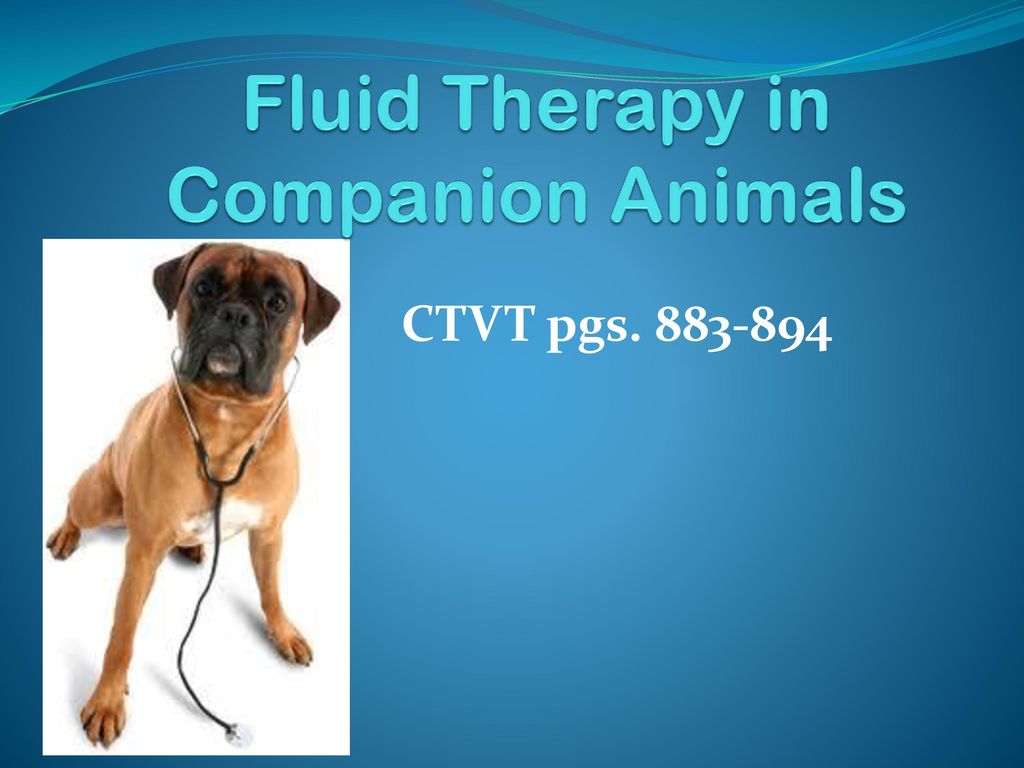 Fluid Therapy in Companion Animals - ppt download Fluid Therapy in Companion Animals - ppt download