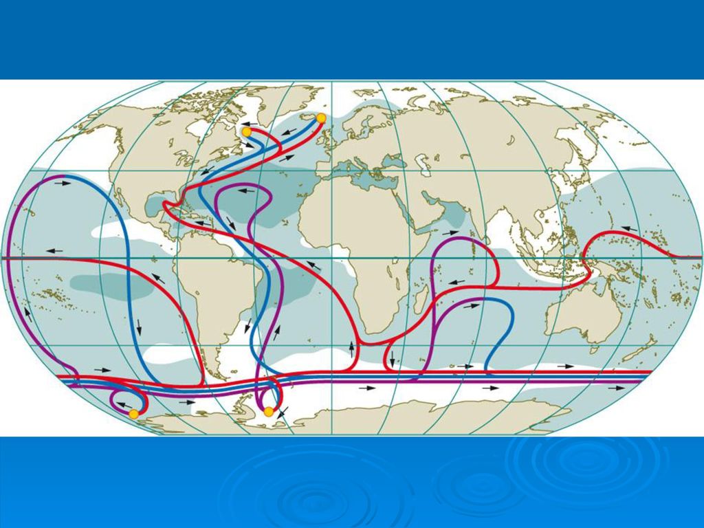 Карта нейтральных вод мира