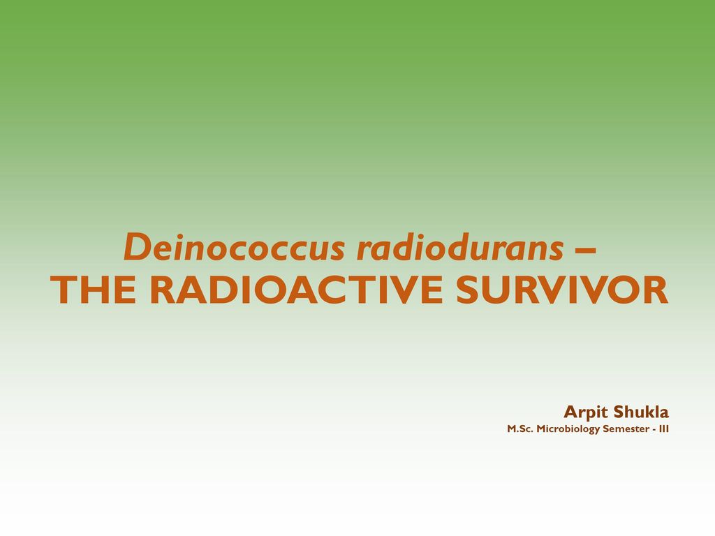 Deinococcus radiodurans — the consummate survivor