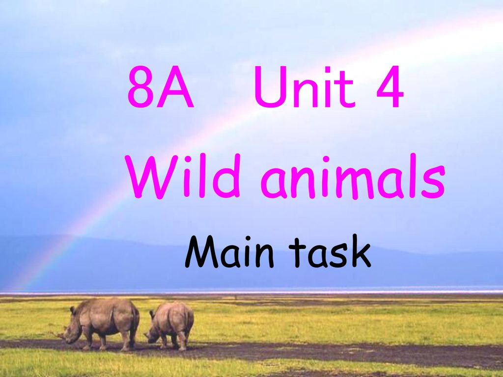 8A Unit 4 Wild animals Main task. - ppt download