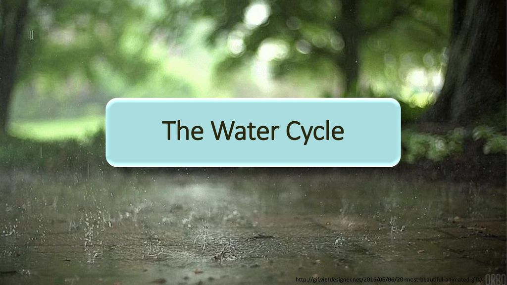 The Water Cycle - ppt download