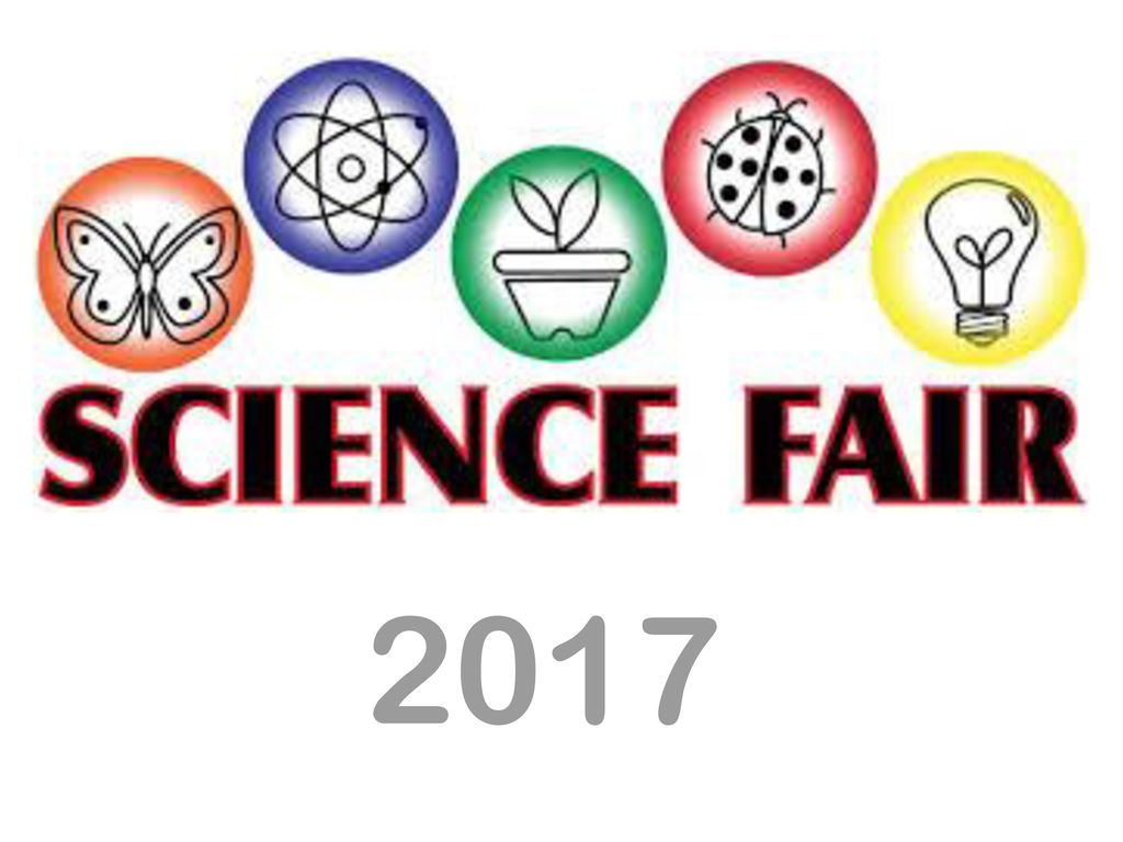 District Science Fair 2024