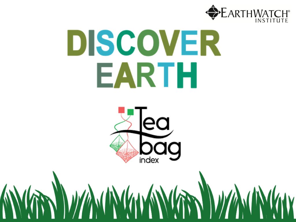 IT'S CITIZEN SCIENCE What is the Tea Bag Index? - ppt download