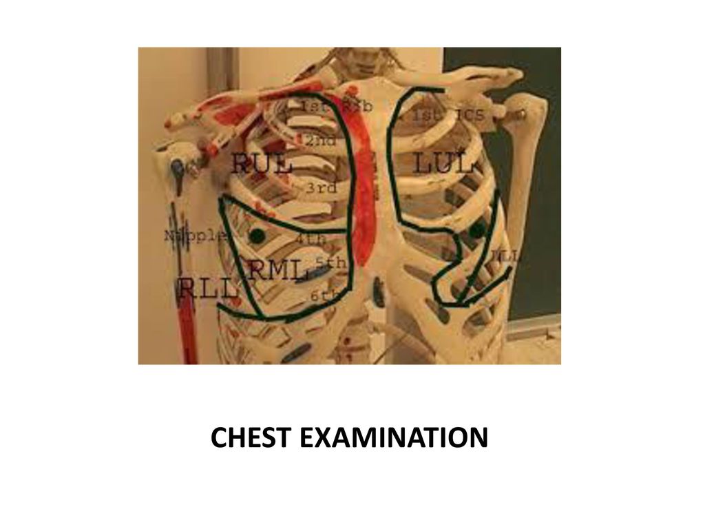 Local chest examination