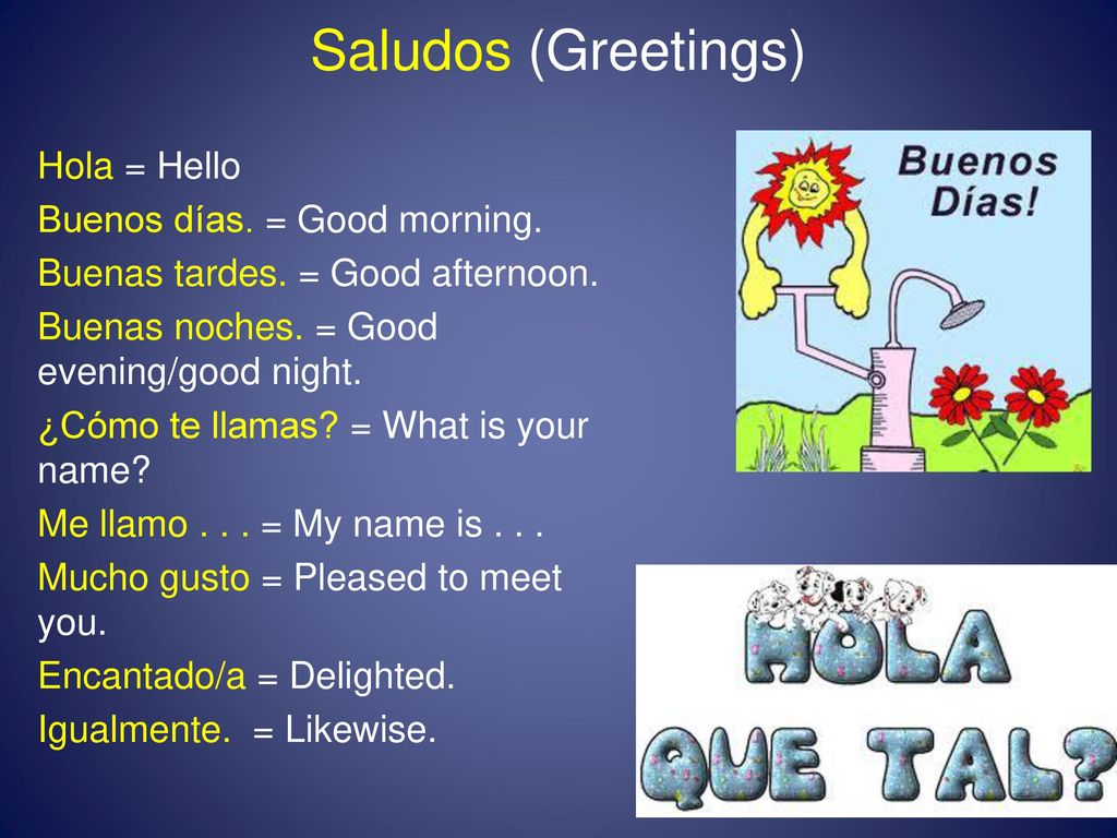 Saludos (Greetings) Hola = Hello Buenos días. = Good morning. - ppt download
